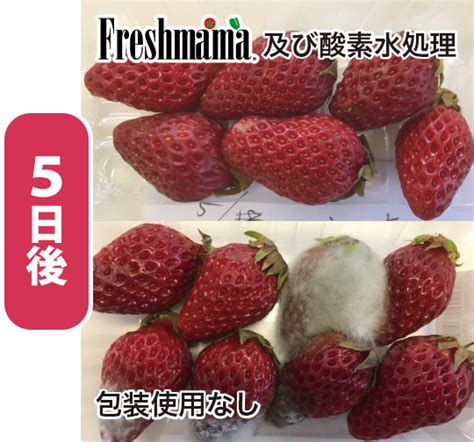 Freshmama [JP] – 食品ロスをゼロへ.